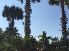 -西双版纳傣族园