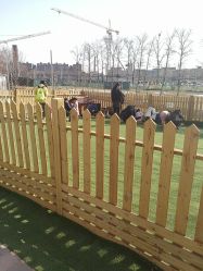 -萌宠亲子动物乐园(槐房万达店)