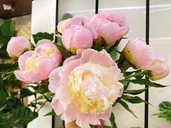 -森野花艺培训·企业团建活动沙龙