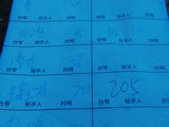 账单-桃姐农庄老字号(从化温泉店)