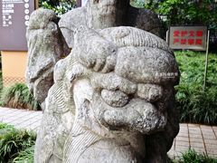 -泰州凤城河风景区-泰山公园