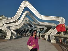 -演武大桥观景平台