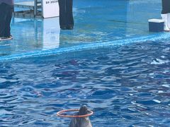 -石林冰雪海洋世界