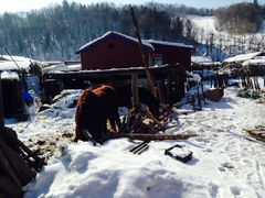iphone_upload_pic-雪谷