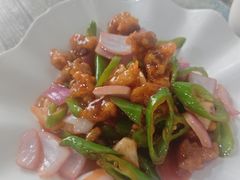 -东鸽皇(奥园·中环广场店)