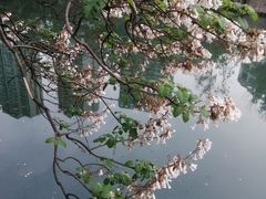 -红星桥(地铁站)
