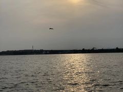 -丁香湖公园