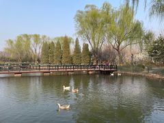 -古塔公园