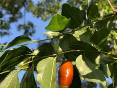 -碓臼峪自然风景区