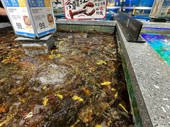 -盒马鲜生(岭南新世界店)