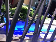 -春天烤肉自助餐厅(南内环店)