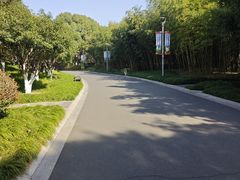-青枫公园