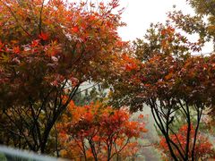 -四明山国家森林公园