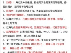 -日照灯塔风景区