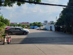 -欢姐伦教糕(北海大道北店)