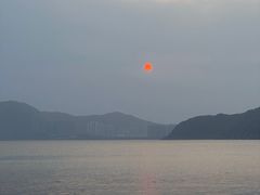 -东郊椰林