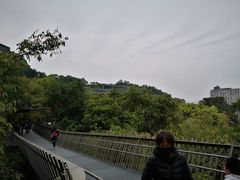 -梅峰山地公园