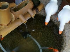 -小茶闲舍·观景商务茶馆(广州塔店)