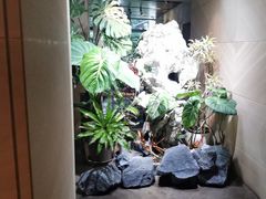 -棕榈岛海鲜自助餐厅(虹桥迎宾馆店)