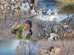 -广州市流溪河国家森林公园