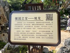 -朴园