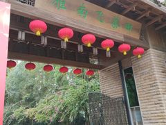 -雁南飞茶田景区