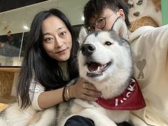 -Husky Go! 哈士奇体验馆·宠物咖啡厅狗咖