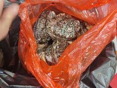 -江杨农产品批发市场