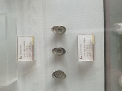 -南阳府衙
