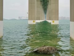 -中澳友谊花园