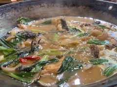 -阿鸡鱼庄·顺德鲜蒸小炒(亚运村店)