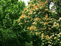 -国家植物园南园