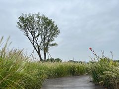 -良渚古城遗址公园