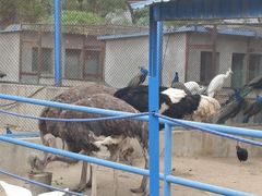 -森林公园(尖草坪区)