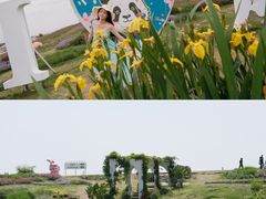 -空港花田景区