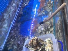 -前王院•巧克力海鲜市集餐厅(万平口店)