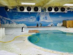 -海合安武汉极地海洋公园
