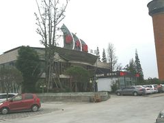 -胖大姐黄辣丁鱼庄(新津店)