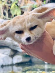 -Zoolung Zoolung动物主题公园(海信广场店)