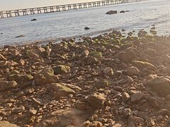 -金沙滩度假村