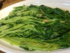 豆酱空心菜-潮中人·潮州菜(益乐路店)