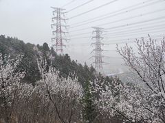 -定都阁