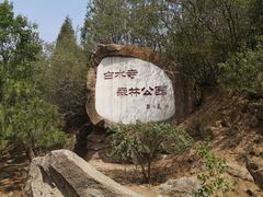 -白水寺森林公园