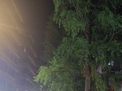 -奎星楼街