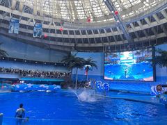 -海合安成都极地海洋公园