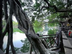 -小洲村