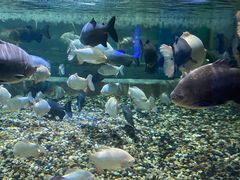 -成都浩海立方海洋公园