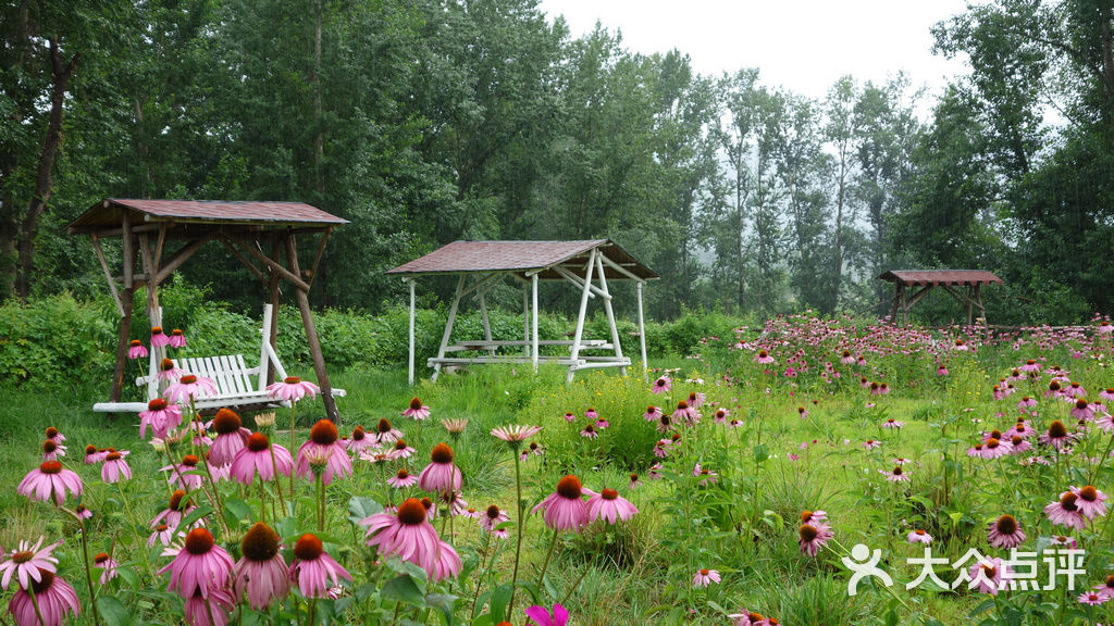 珍珠泉留香谷dsc00354图片 - 第12张