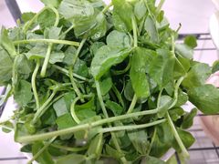 -朝伟清真铜瓢牛肉馆(三十年老·店)
