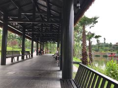 -枫香湖儿童公园